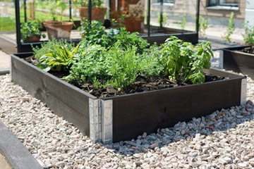 Planter Beds