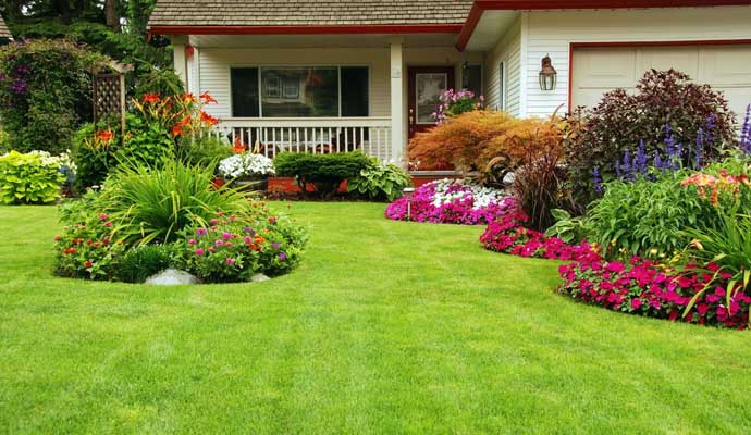 Essential Element of Lawn Garden